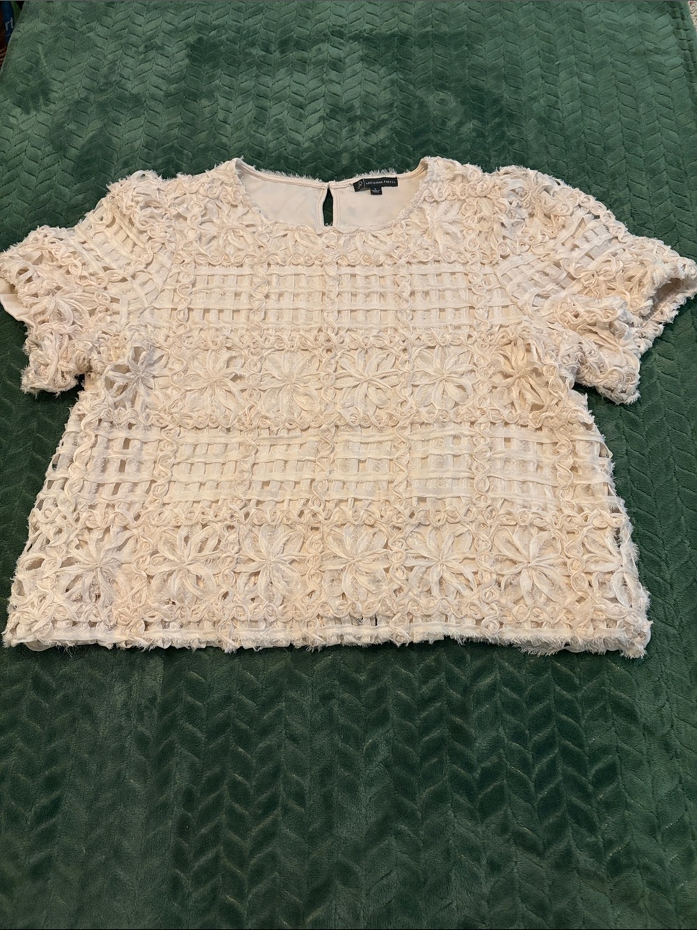 Adrianna Papell 3D Floral Soutache Blouse Ivory Cream Lattice Mesh Top Large
